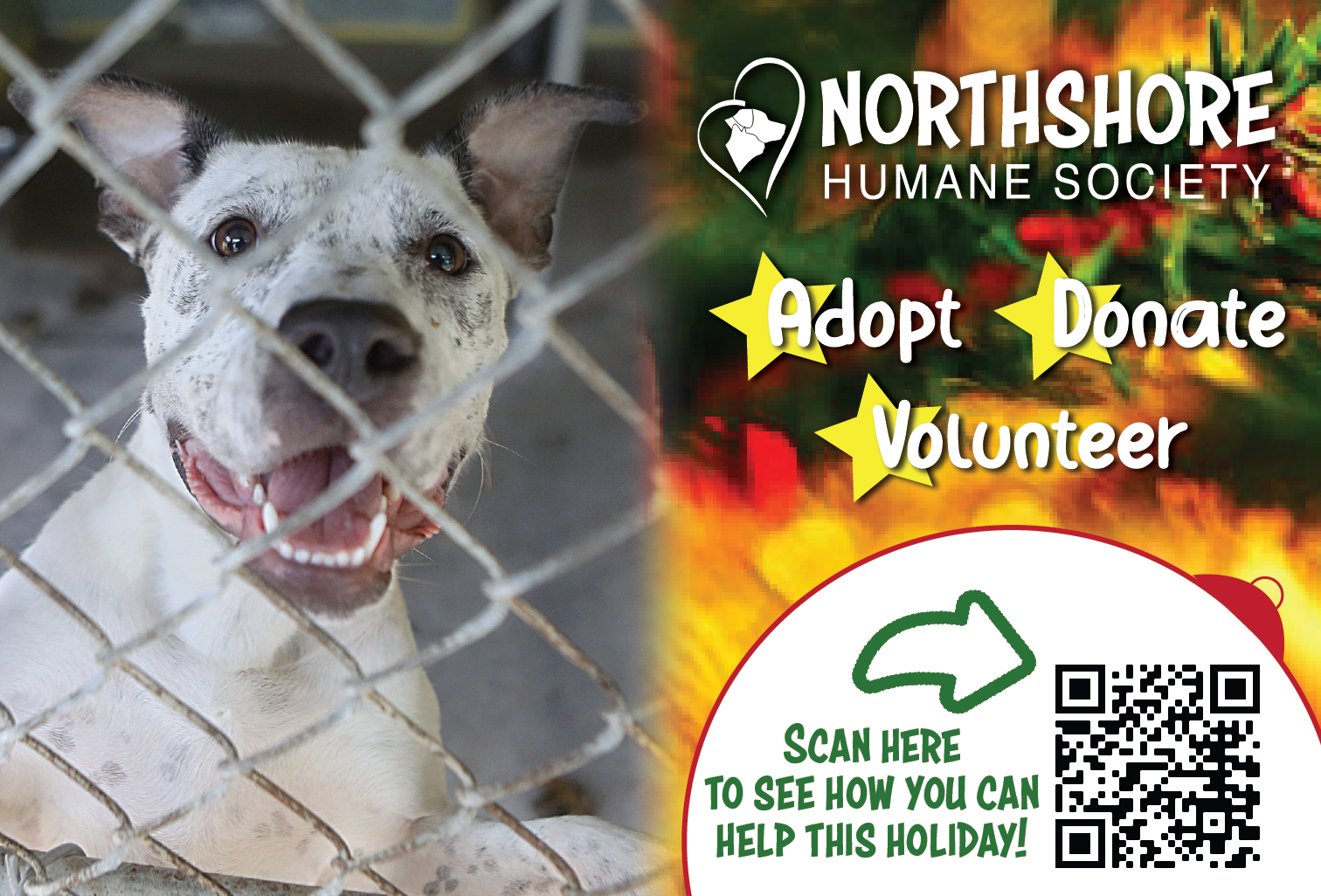 Help this Holiday Season | Northshore Humane Society