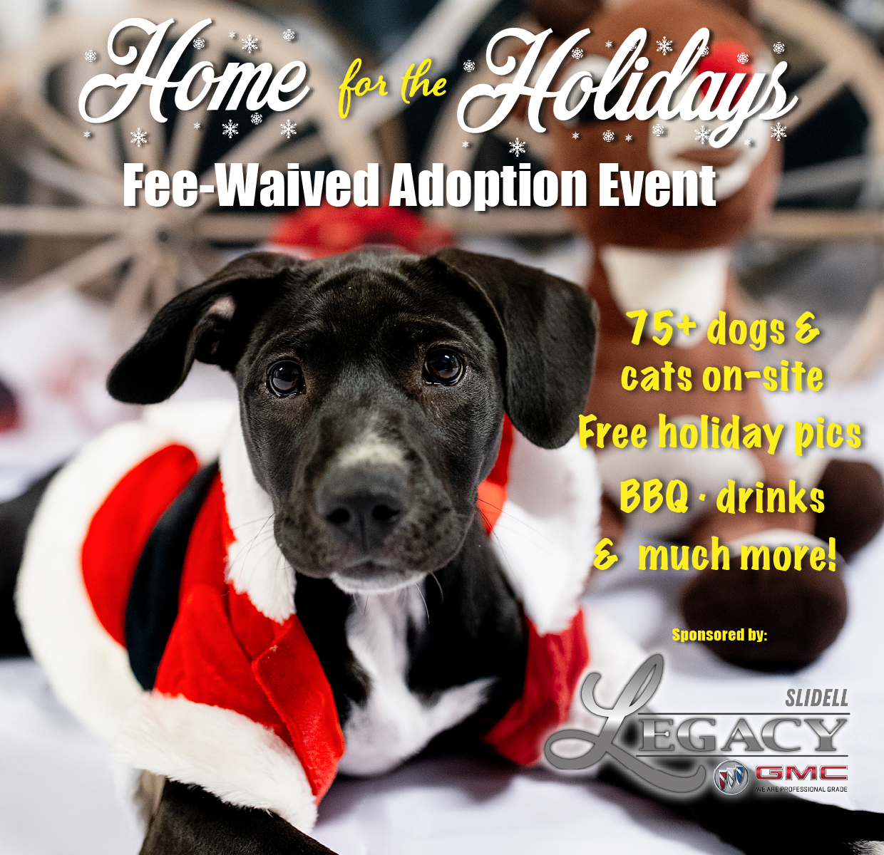 Home_for_Holidays_Adoption_Event