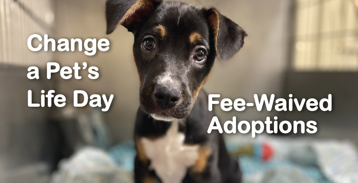 $0 Adoption Fees ONE DAY ONLY!: Change a Pet's Life Day | Northshore ...