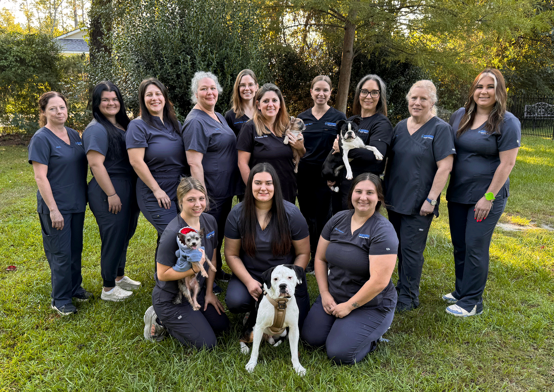 vet_clinic_veterinarian