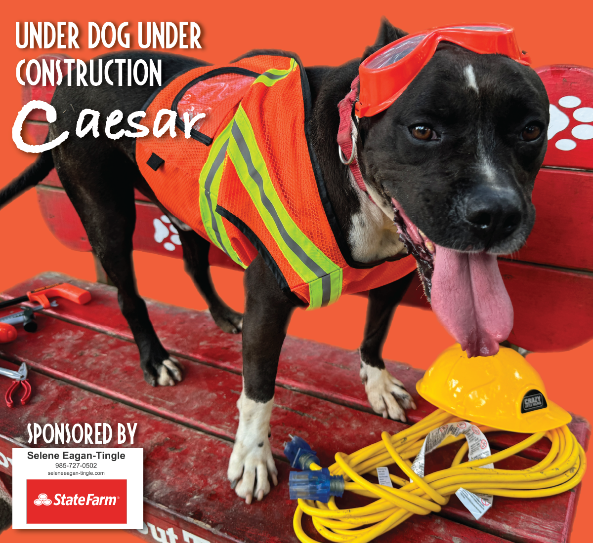 underdog_caesar